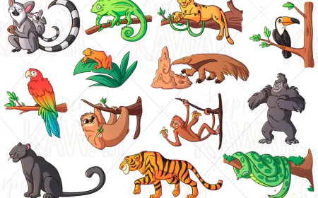 Rainforest Animals Clip Art free download