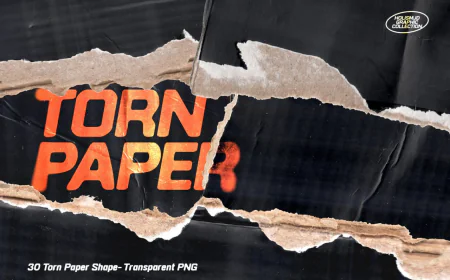 30 Torn paper shape, transparent PNG free download