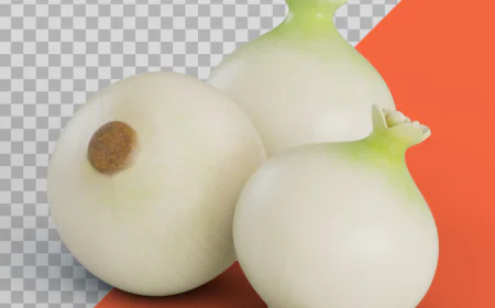 3D stylized fresh white onions