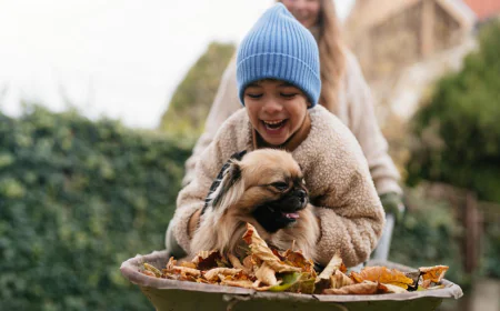 Boy and Dog on a Wheelbarrow Ride free downoad