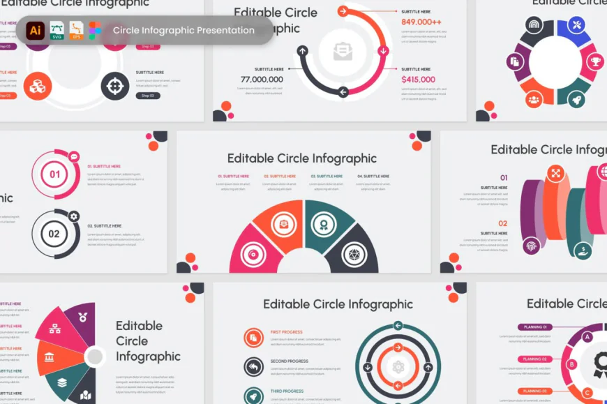 Professional Circle Infographic Template