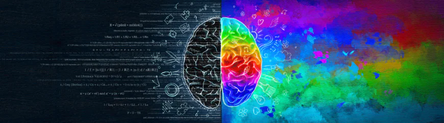 Photo showing the difference between left brain and right brain