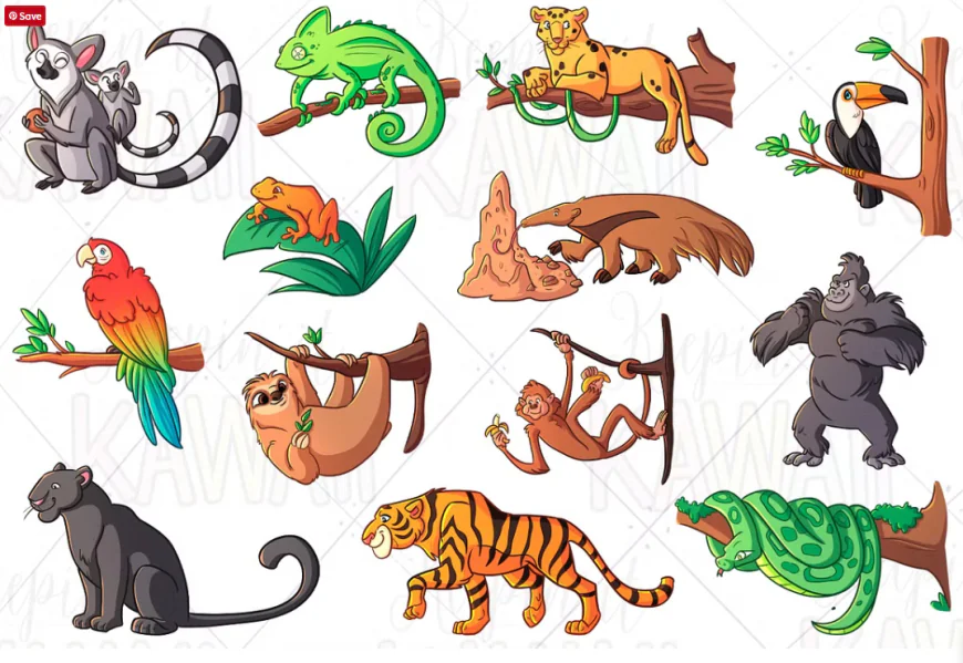 Rainforest Animals Clip Art free download