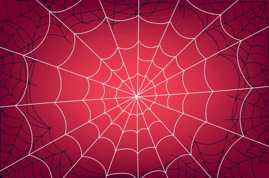 Spider web banner vector free download